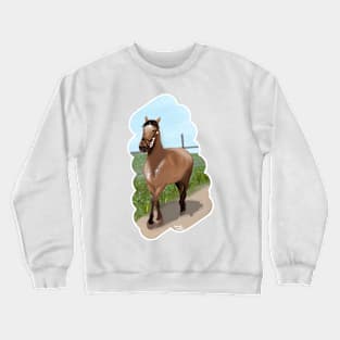 Horse Crewneck Sweatshirt